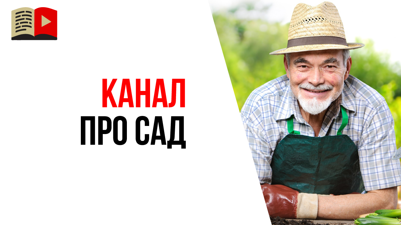 Как заинтересовать зрителя, если у Вас не образовательный канал?