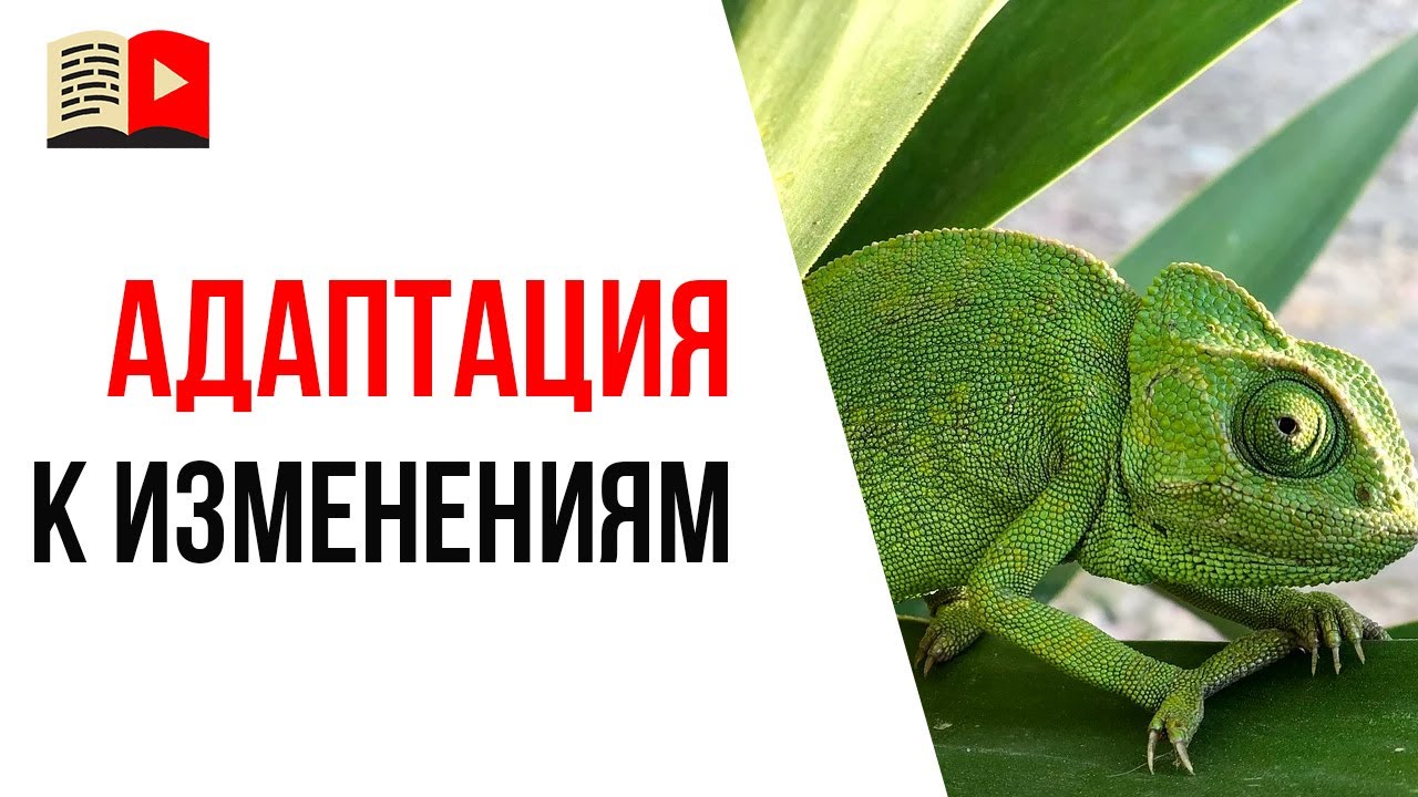 Как развивать свой YouTube канал во время кризиса | Мотивация от Александра Некрашевича