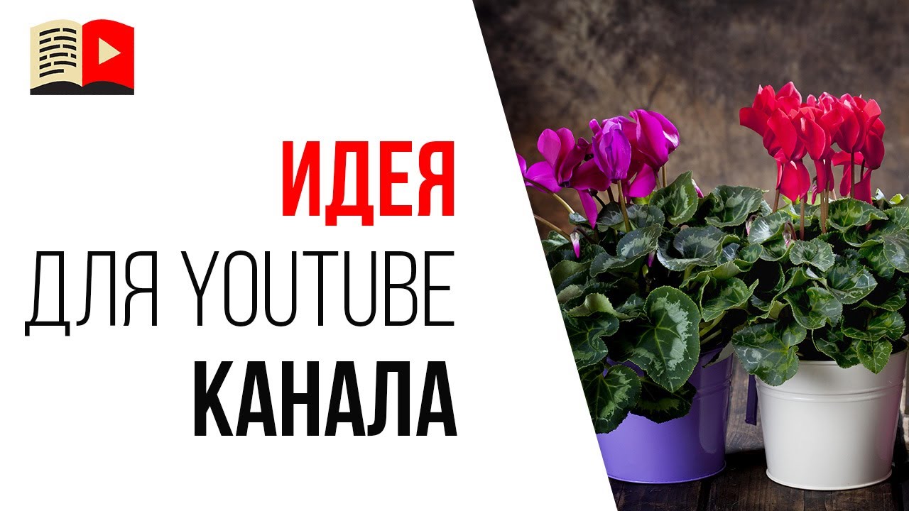 Монетизация YouTube канала про комнатный цветы