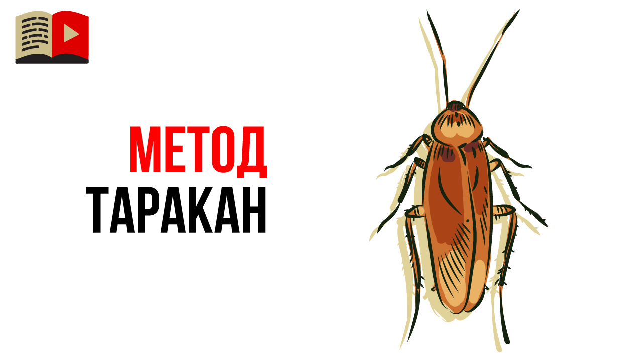 Что такое метод "таракан"? Стратегия для выбора тематики канала