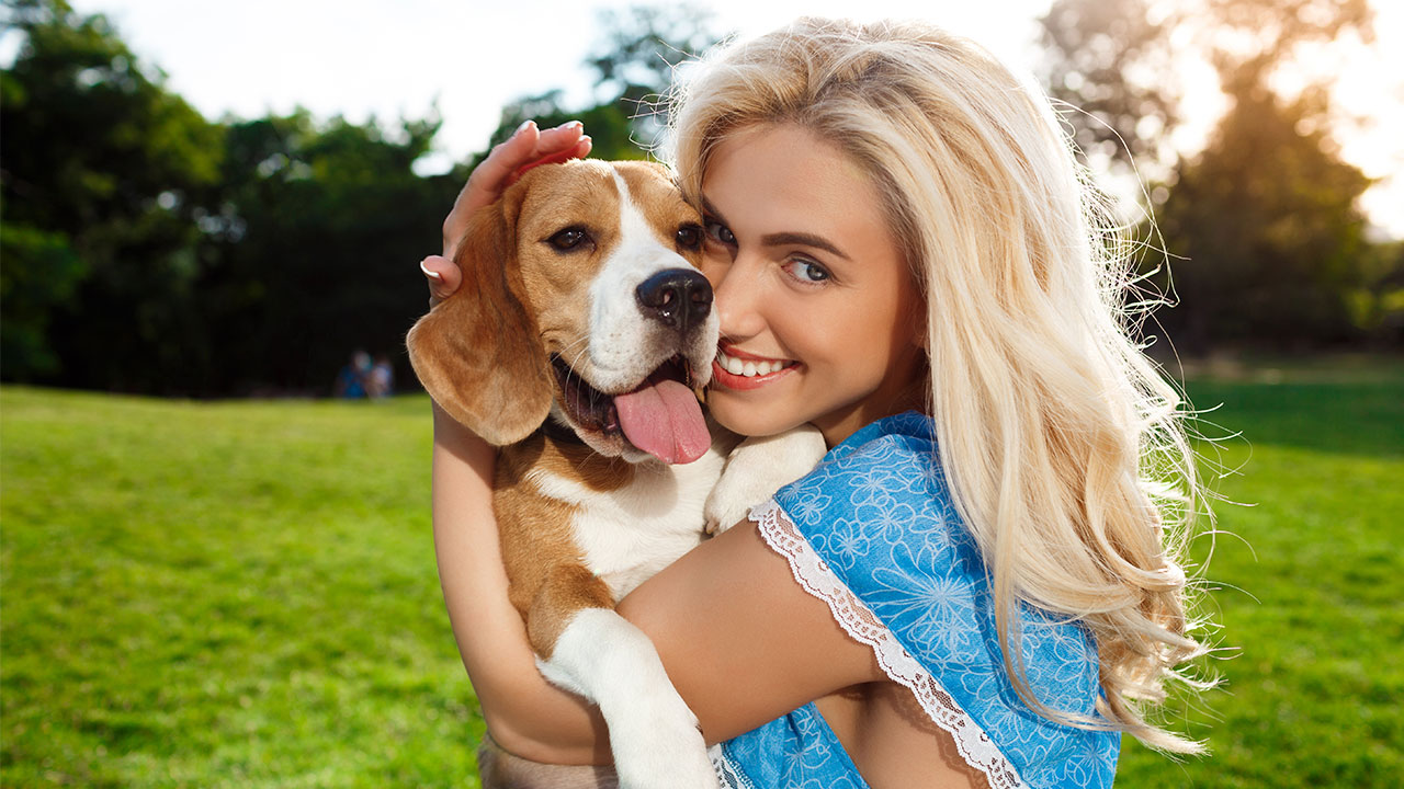 Как не бояться защитить себя и ребенка от собаки. Что делать и как избежать нападения злой собаки