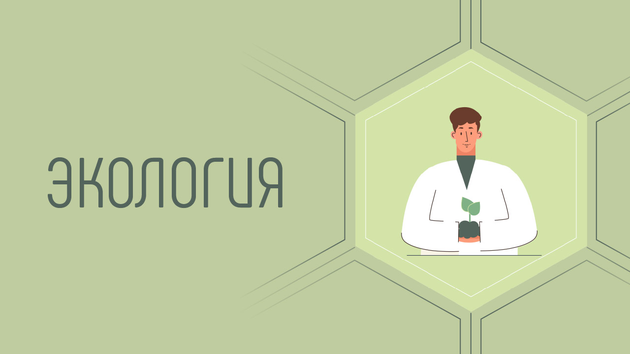 Специалист по изменению климата