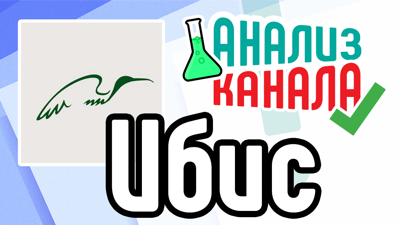 Анализ канала "Ибис Охота и оружие". Аудит канала на YouTube. Профессиональный аудит канала