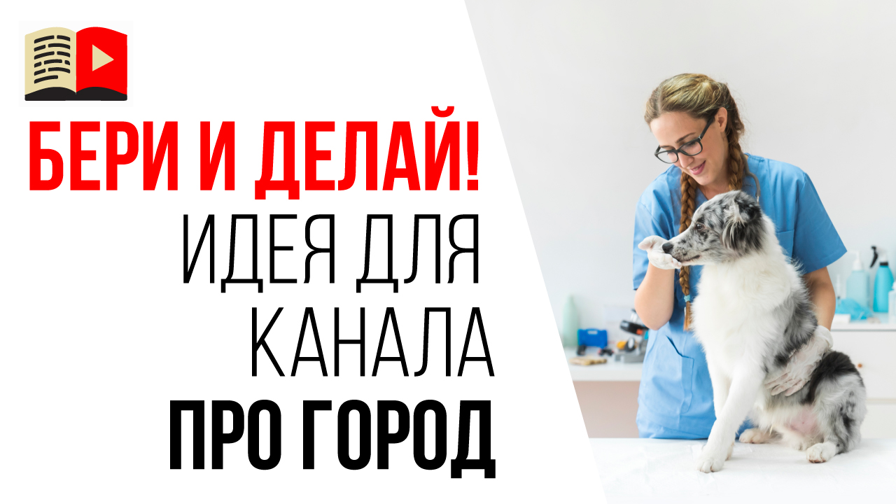 Идеи для видео на городском YouTube канале. Обзор ветклиник и приютов для животных в городе