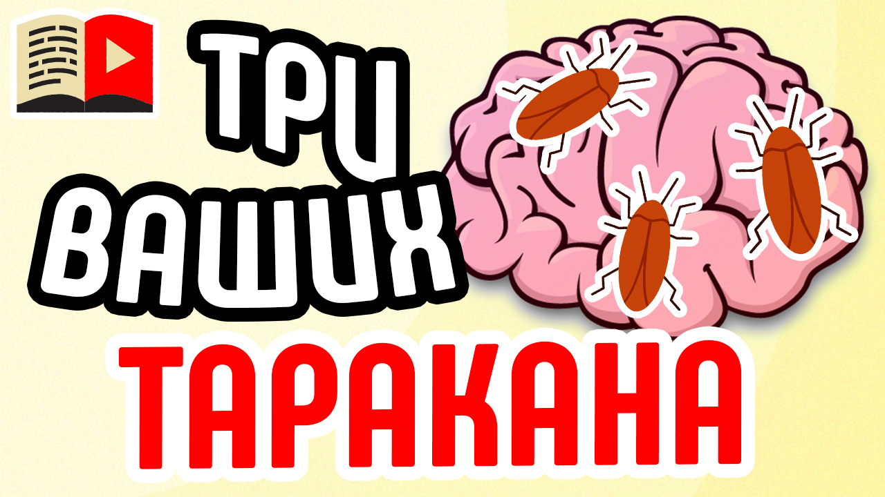 Как стать популярным и не бояться камеры? Как побороть в себе страх перед съёмкой - 3 таракана