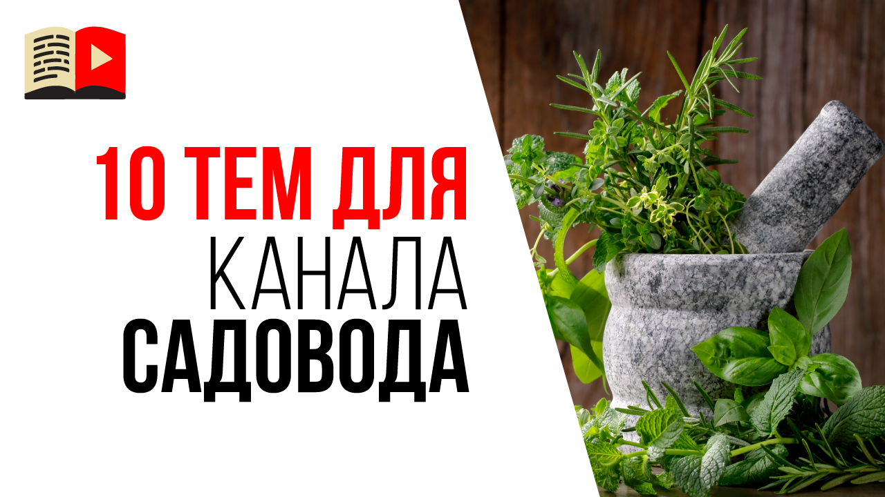 Какой канал создать на YouTube, если Вы живёте в деревне или на даче? Идеи для канала