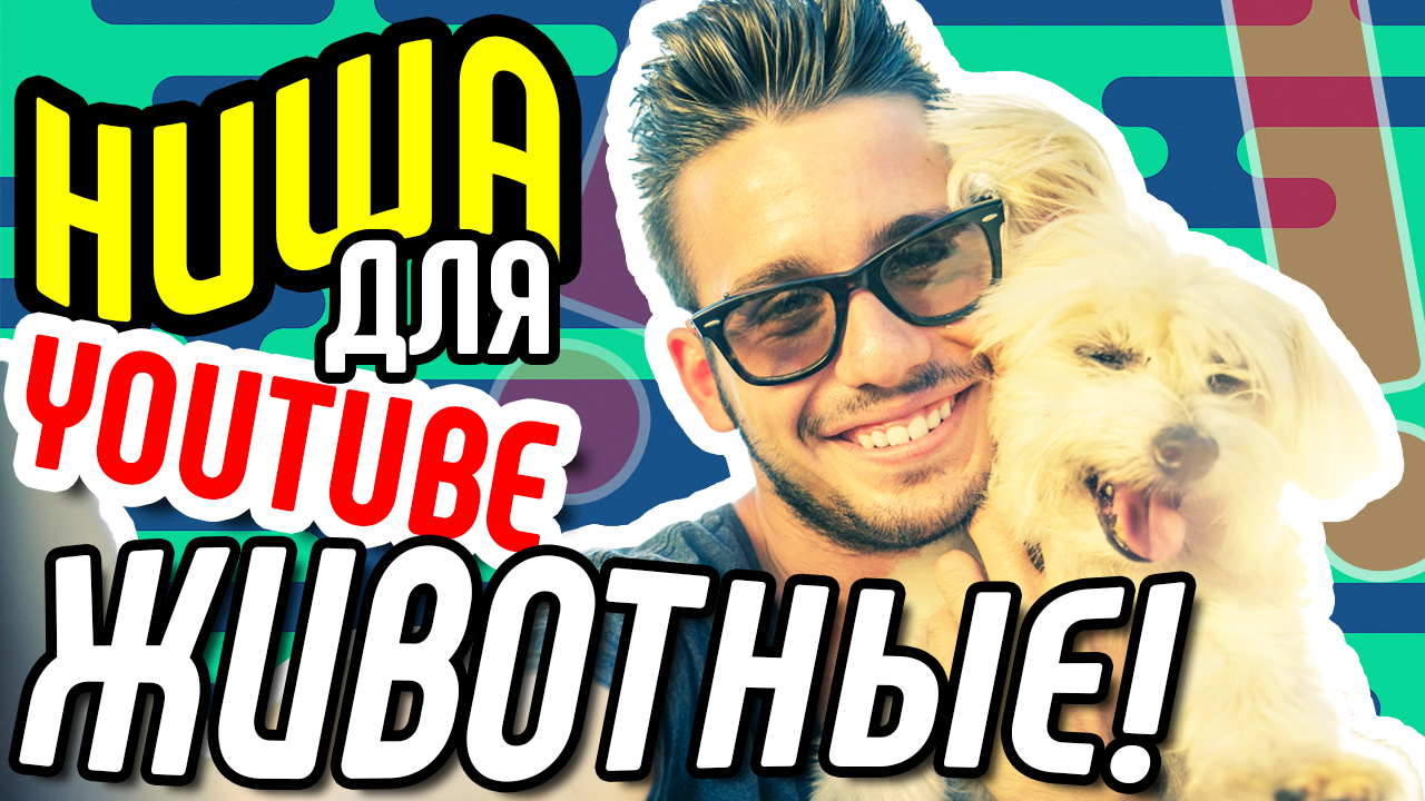 Канал на ютубе. Выбираем нишу ЖИВОТНЫЕ. Выбор прибыльной ниши или как выбрать тему для канала